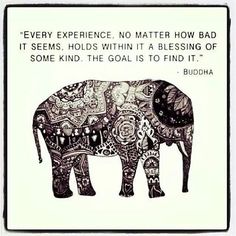 everything